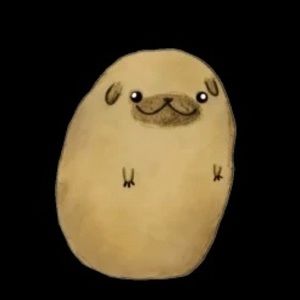 Meet your Posher, Mariela